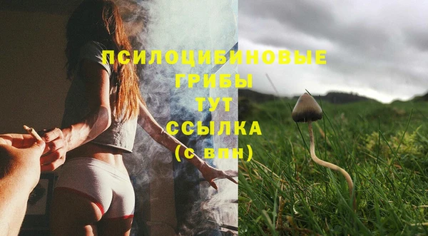 прущий лед Белокуриха