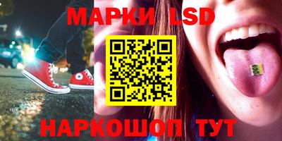 гашик Гатчина