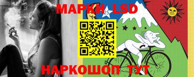 гашик Гатчина