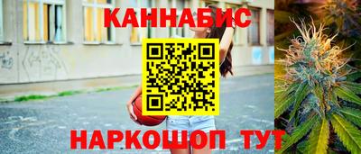 гашик Гатчина