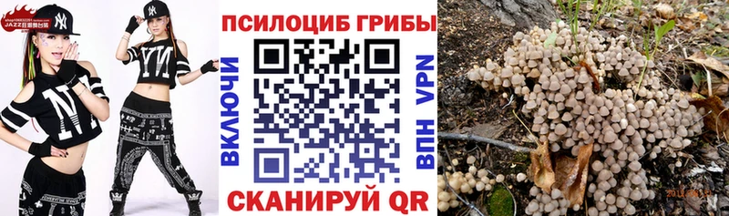 где купить наркоту  Гулькевичи  Псилоцибиновые грибы Magic Shrooms 