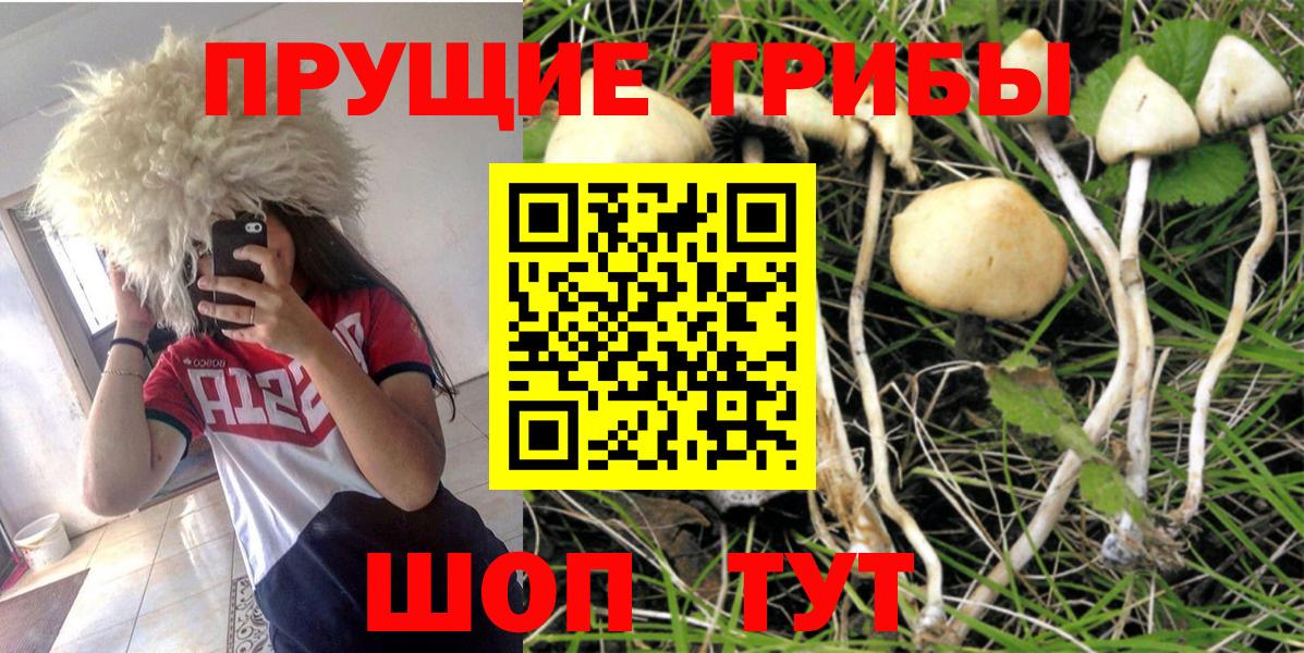 Меф кристаллы  МДМА  Alpha-PVP СК   МЕТ  Гашиш  Гулькевичи  Купить наркотик 