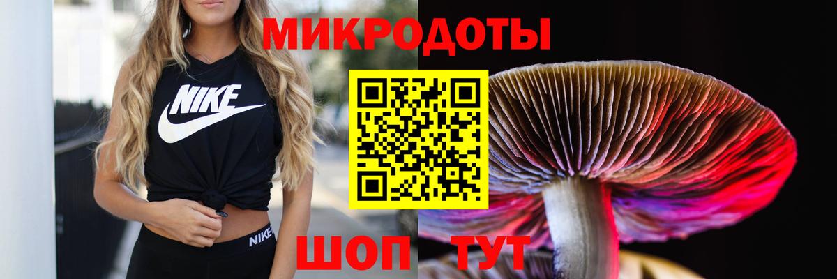 Псилоцибиновые грибы ЛСД  Галлюциногенные грибы GOLDEN TEACHER  как найти закладки  Гулькевичи 